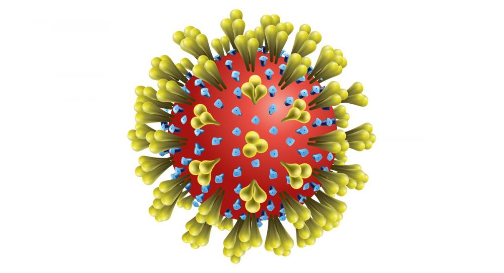 COVID-19 Virus